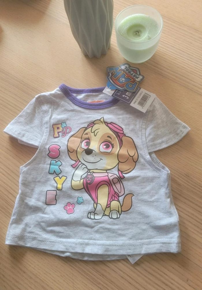 Lots été - t-shirt + Short - PatPatrouille - neuf - photo numéro 2