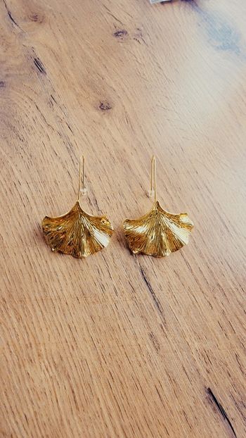 Boucle d'oreilles acier inoxydable