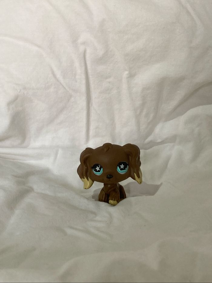 lps cocker