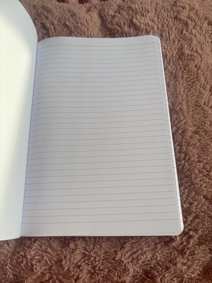 Cahier - photo numéro 2