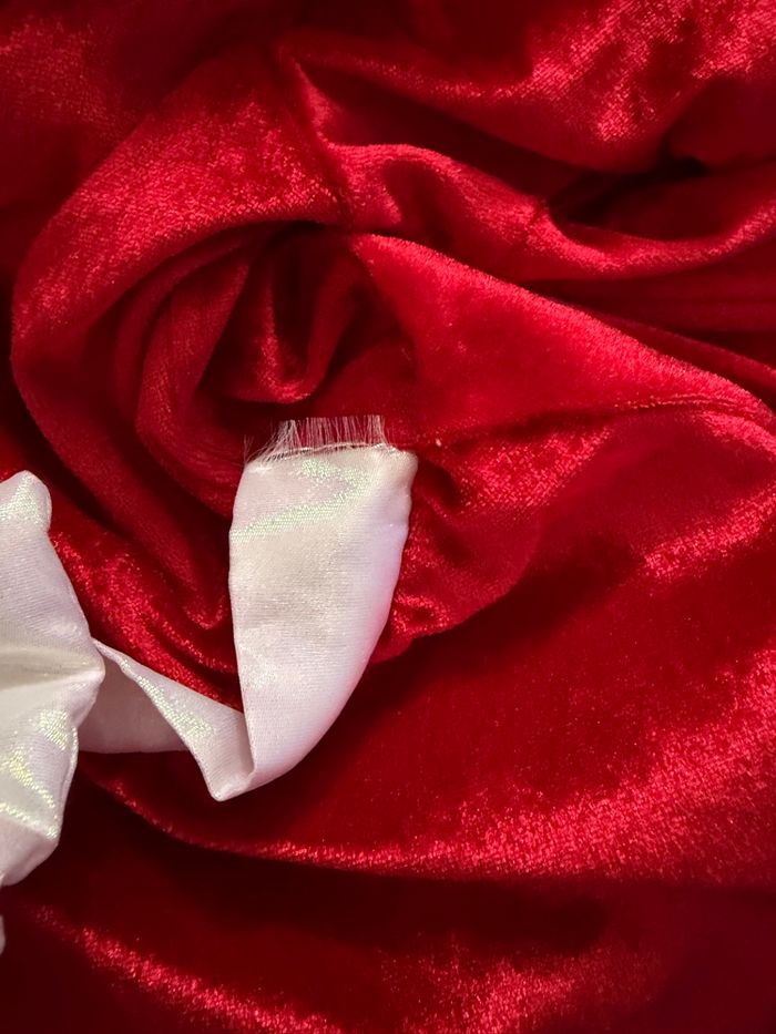 Robe de Noël Disneyland Paris 4 ans - photo numéro 4