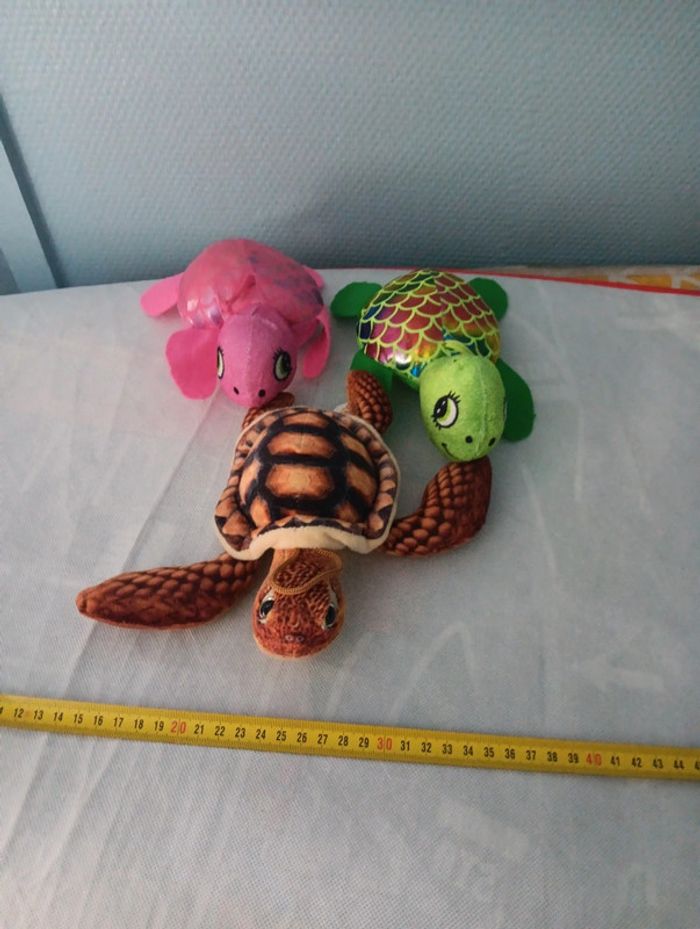 Tortues