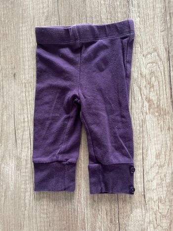Leggings violet