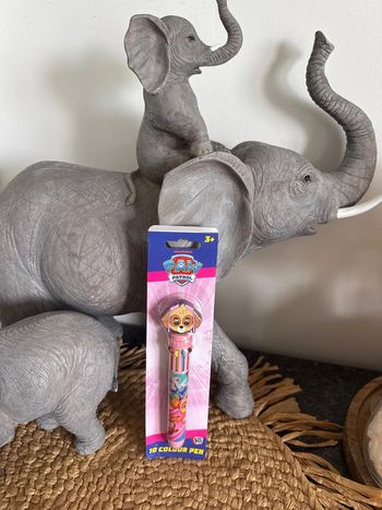 Stylo 10 couleurs paw patrol pat patrouille nickelodeon