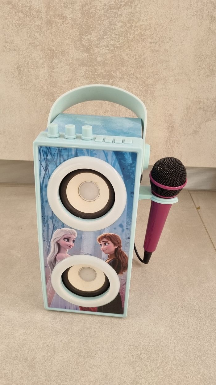 Enceinte Reine des Neiges