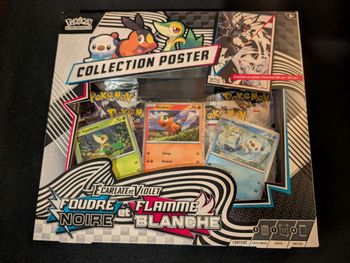 Collection poster Flamme blanche foudre noire EV10.5 scellé