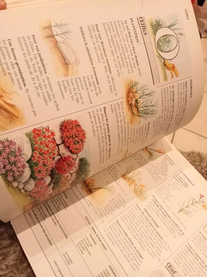 1001 trucs et astuces pour le jardin - photo numéro 4