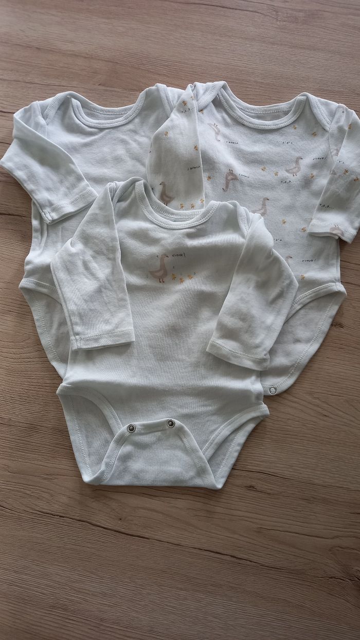 Lot de 3 bodies 6 mois TeX - photo numéro 1