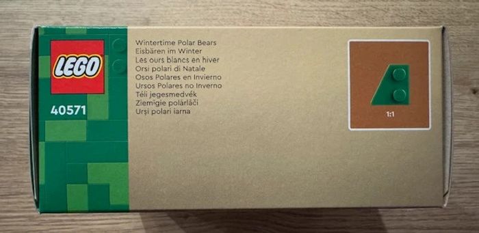 LEGO 40571 : Les ours blancs en hiver - photo numéro 4