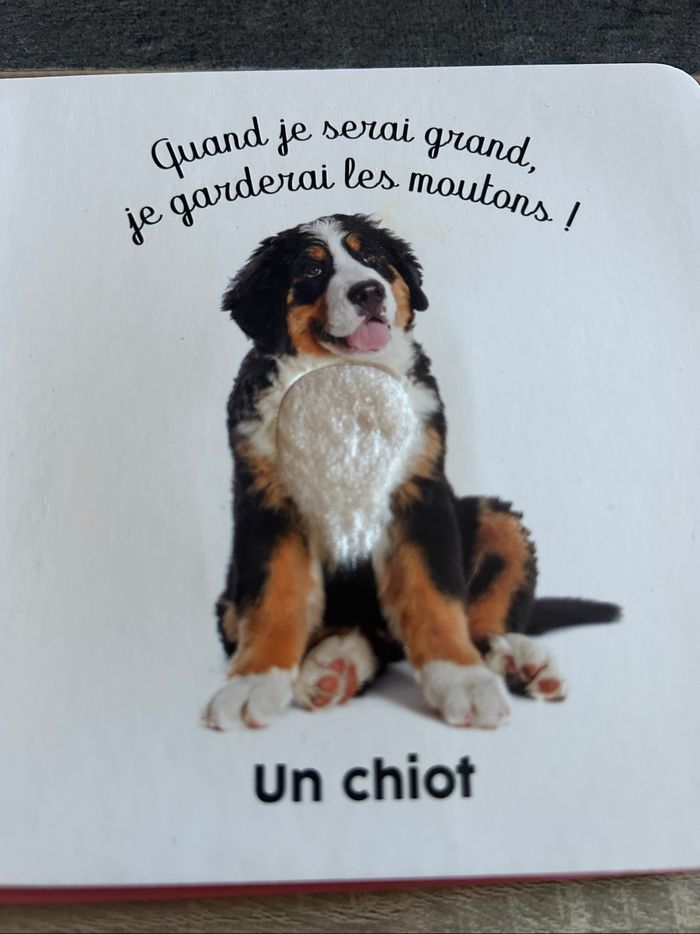 Livre à toucher - photo numéro 2
