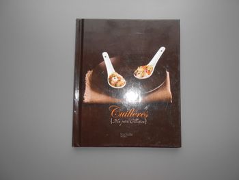 Livre: Cuillères, ma petite collection (Hachette)