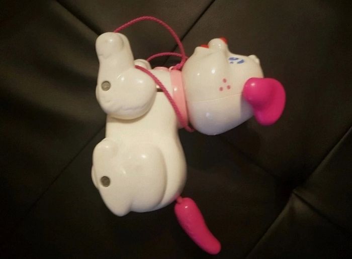 Chien à tirer - photo numéro 2