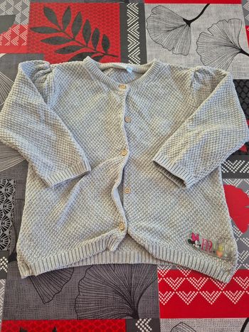Gilet disney 23mois
