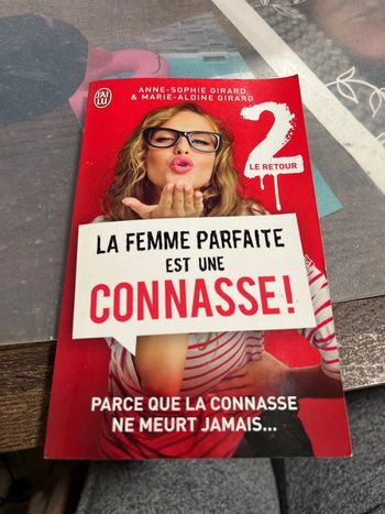 Livre la femme parfait est une connasse 2
