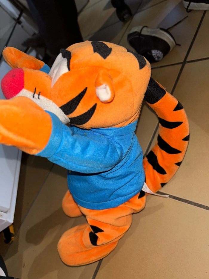 Tigrou - photo numéro 4