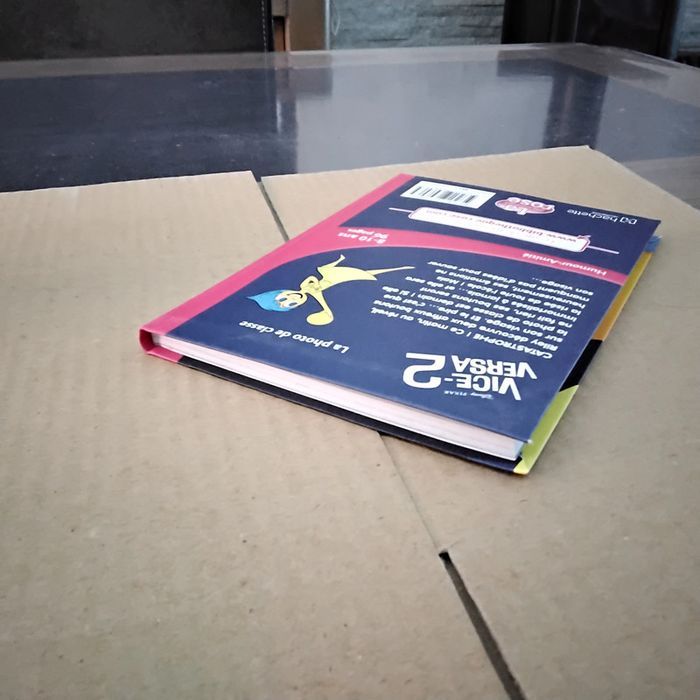 La photo de classe Vice versa 2 Bibliothèque rose - photo numéro 4