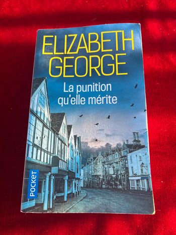 Livre La Punition qu'elle Mérite