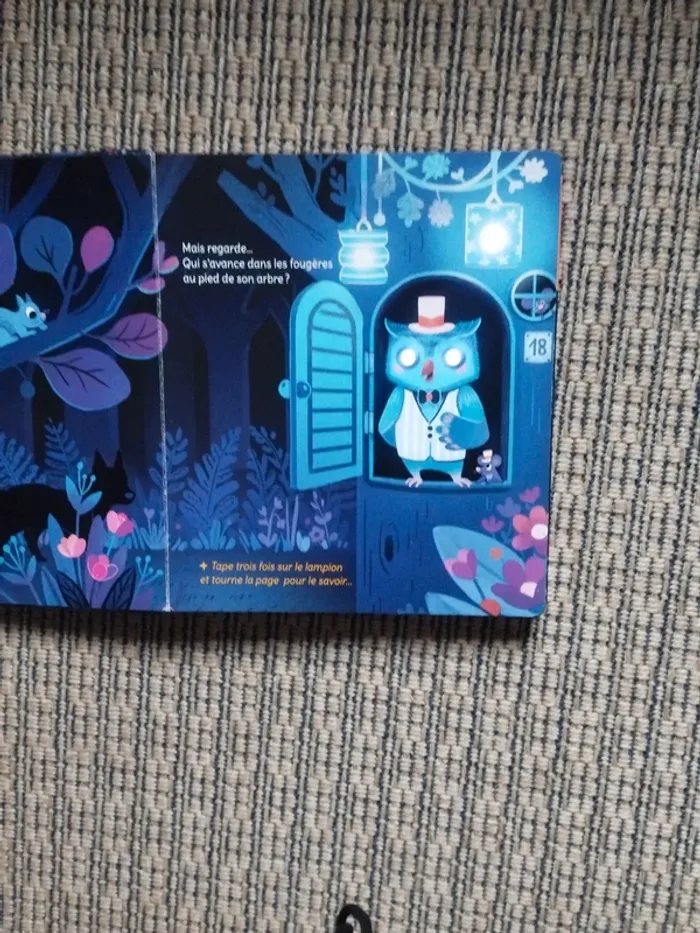 Livre lumineux Monsieur Hibou et la Forêt - photo numéro 4