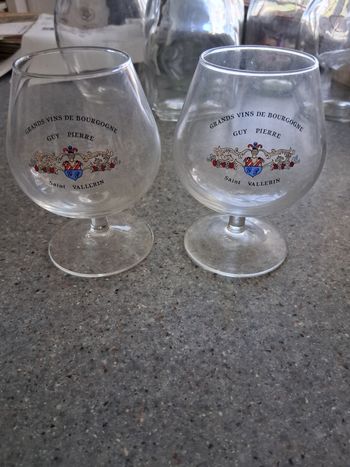 Lot de 2 verres ballon dégustation