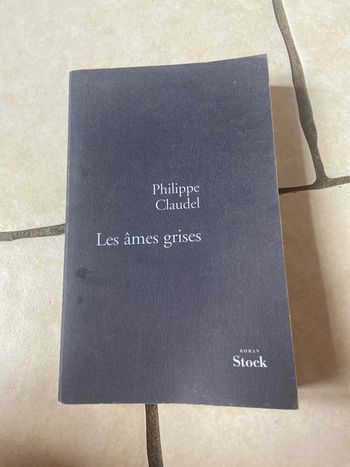 Les âmes grises