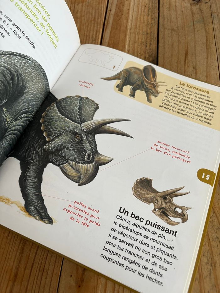Les dinosaures - photo numéro 7