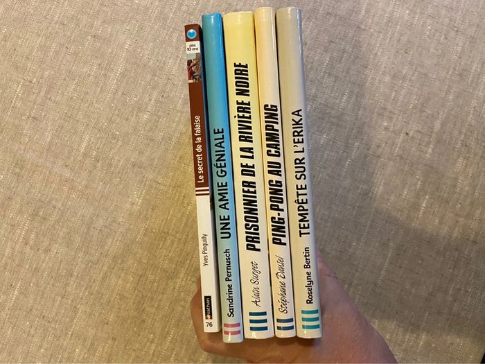 Lot de cinq romans jeunesse lecteurs 10/12 ans - photo numéro 13