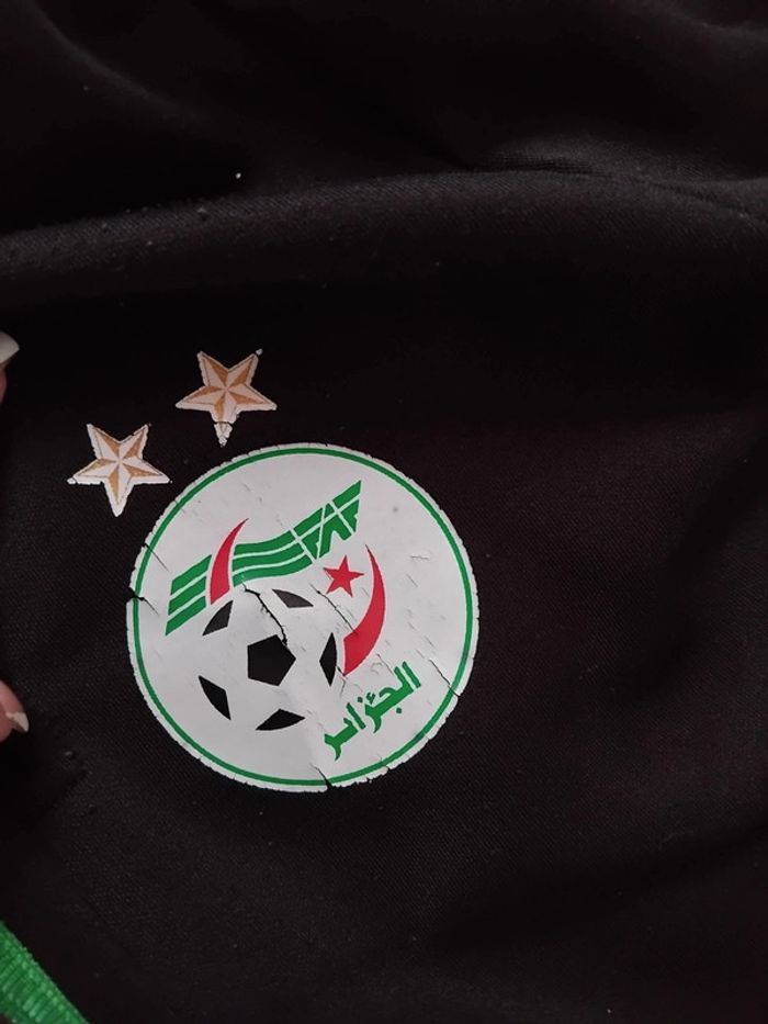 Survêtements algerie - photo numéro 2