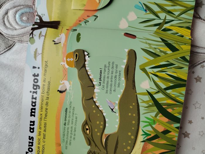 Livre animaux de la savane - photo numéro 6