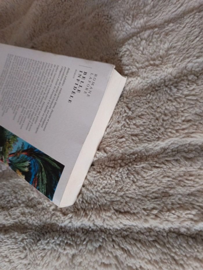 Belle infidèle - photo numéro 5