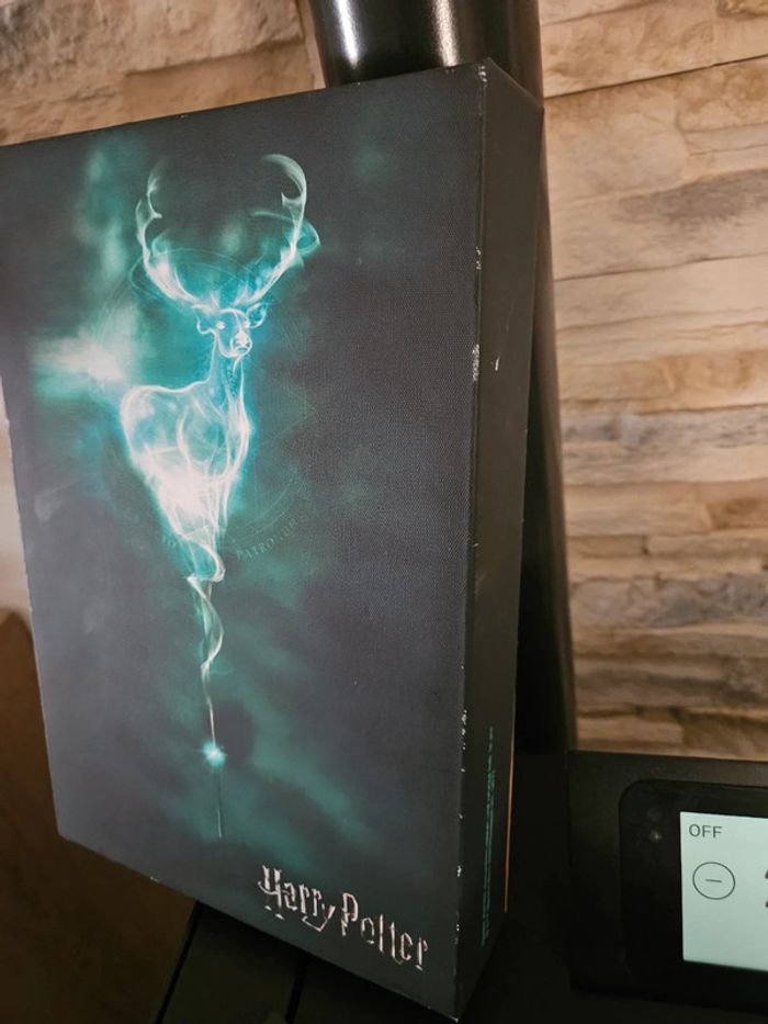 Cadre toile harry potter - photo numéro 3