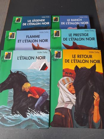 Lot l'étalon noir