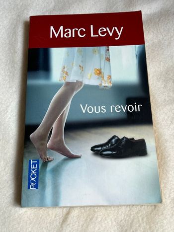 Vous revoir de Marc Lévy