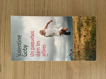 Un paquebot dans les arbres - Valentine Goby