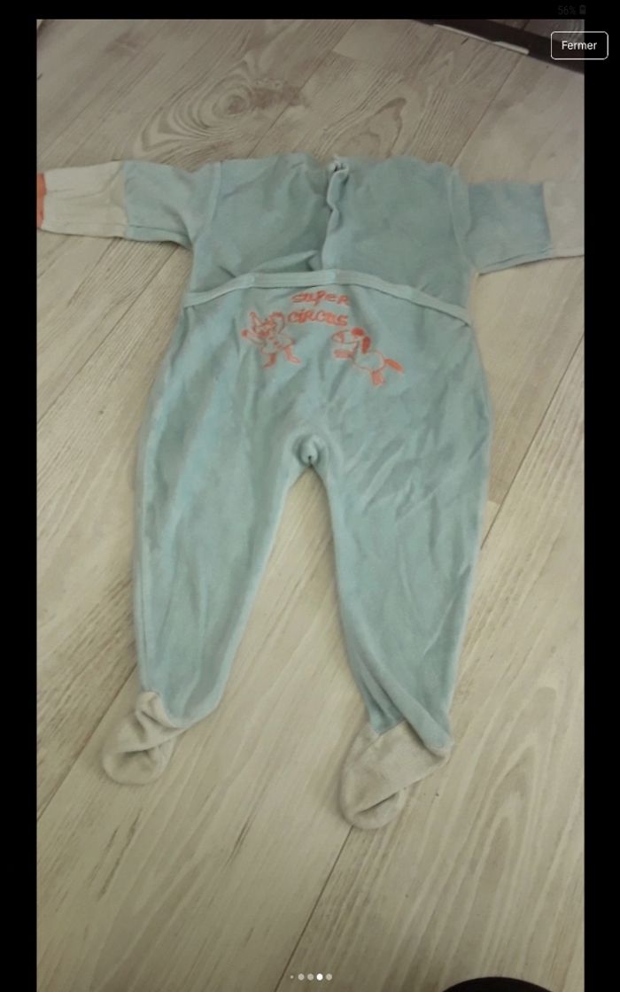 Grenouillere super circus - photo numéro 6