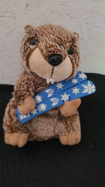 Peluche Marmotte 20 cm Ski