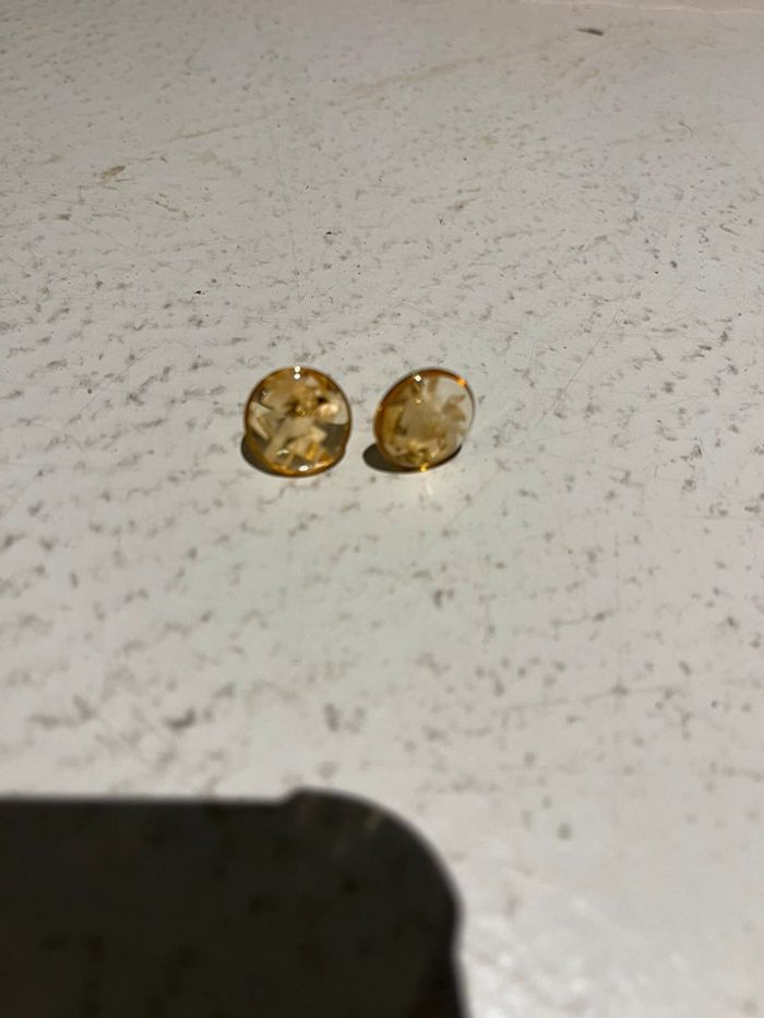 Boucles oreilles fleurs séchées