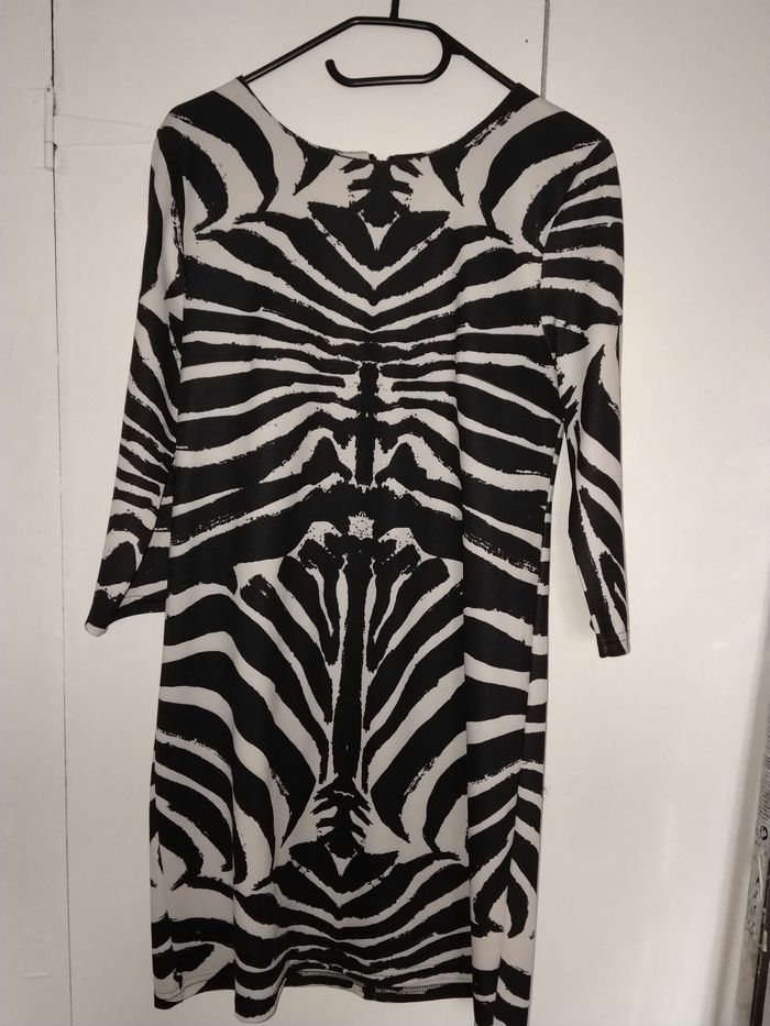 Magnifique robe Zébrée - photo numéro 3