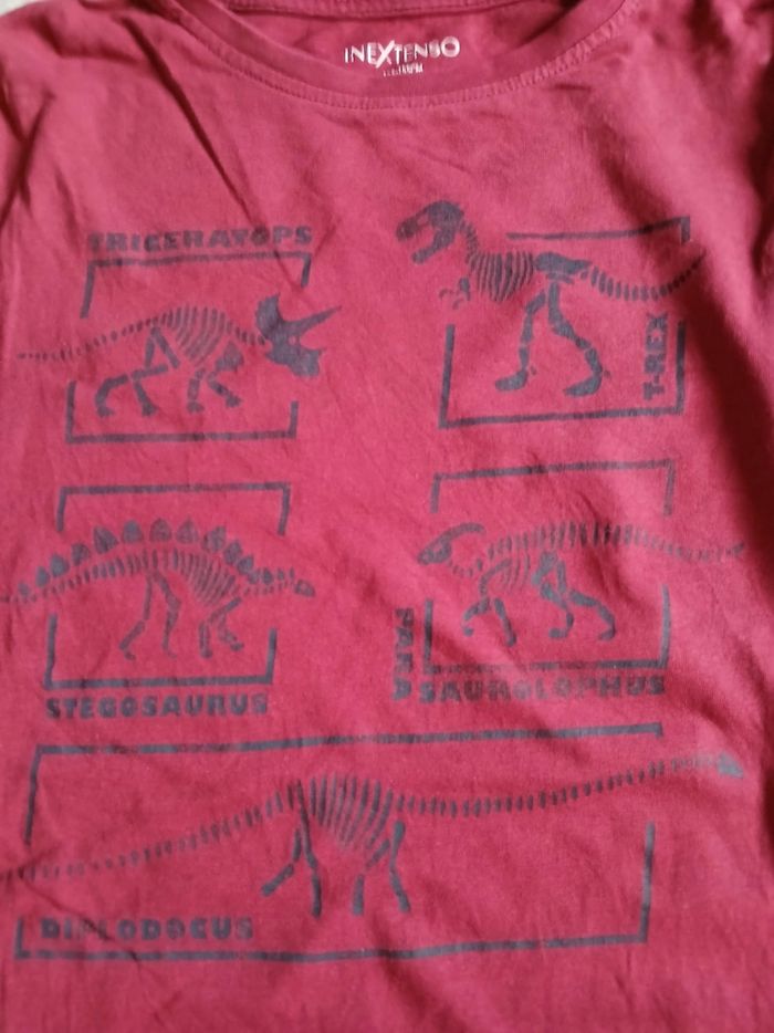 Tee-shirt 12 ans dinosaures - photo numéro 3