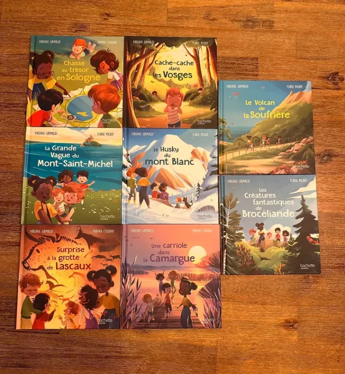 Lot livres collection « merveille en France »