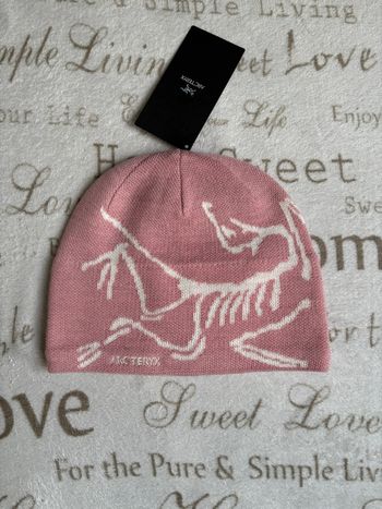 Arc'teryx - Bonnet Bird Head - Bliss/Arctic Silk (rose)