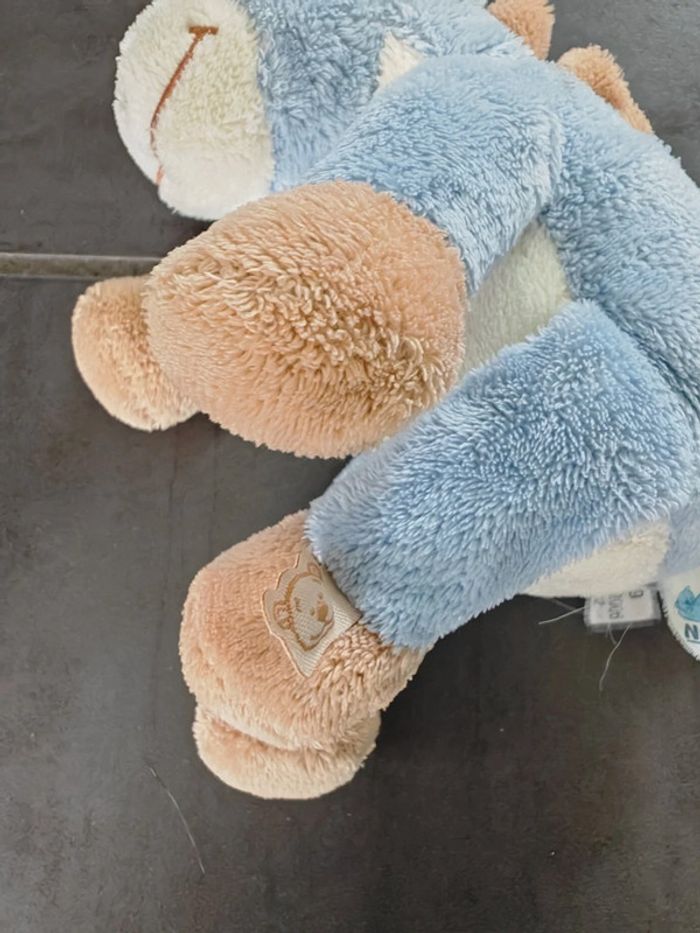 Âne bleu - photo numéro 4