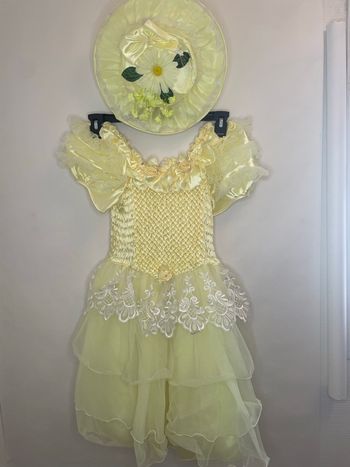 Robe cérémonie 