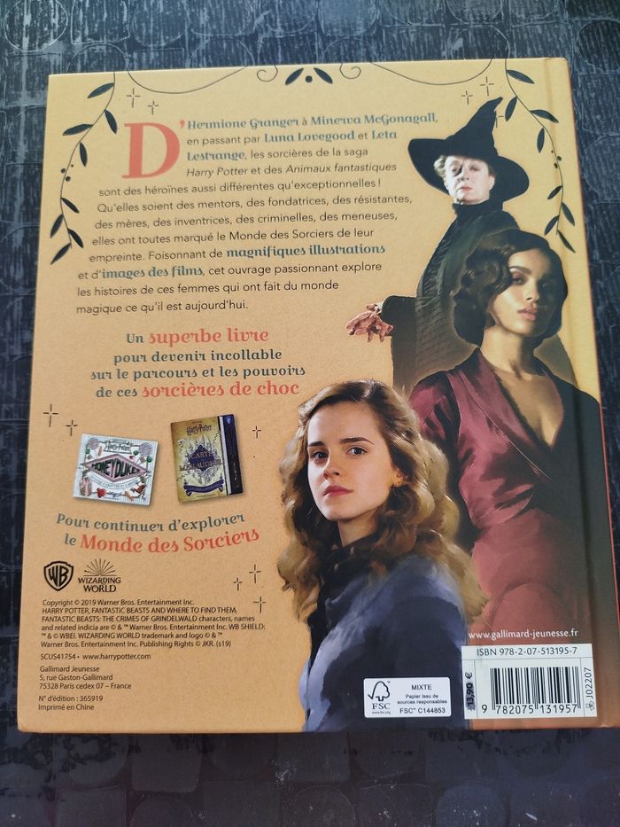 Livre "Fières d'être sorcières !" - Harry Potter - photo numéro 2