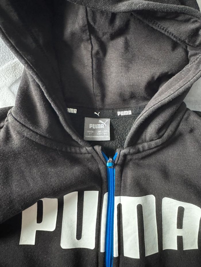 Ensemble puma - photo numéro 4