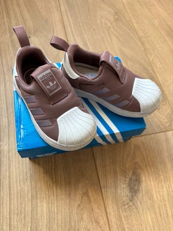 Superstar adidas