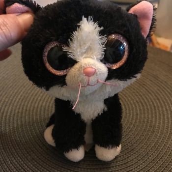Petit chat noir et blanc peluche tu