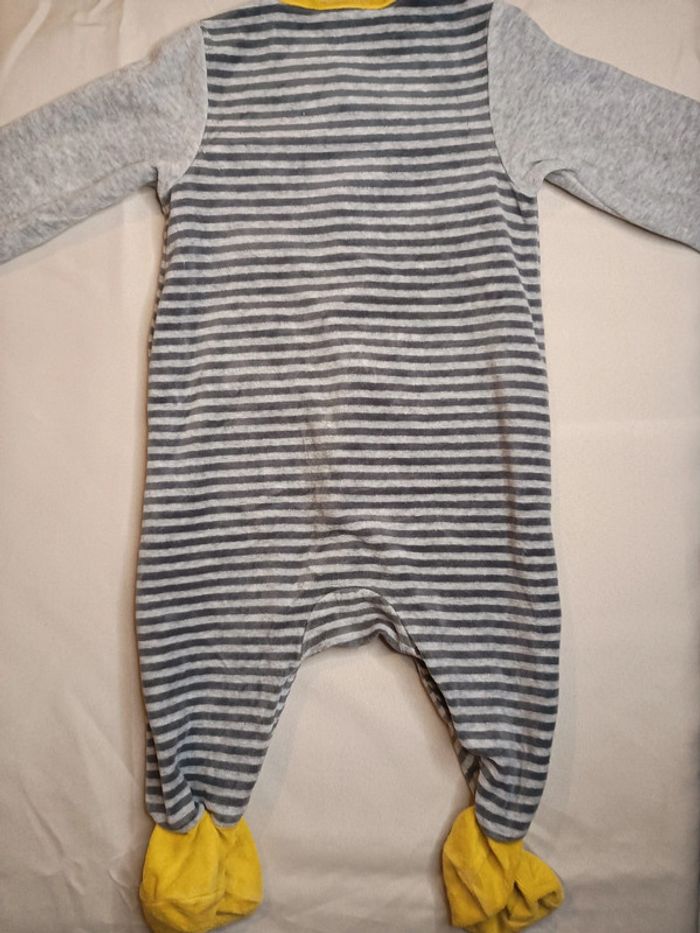 Grenouillère - photo numéro 2