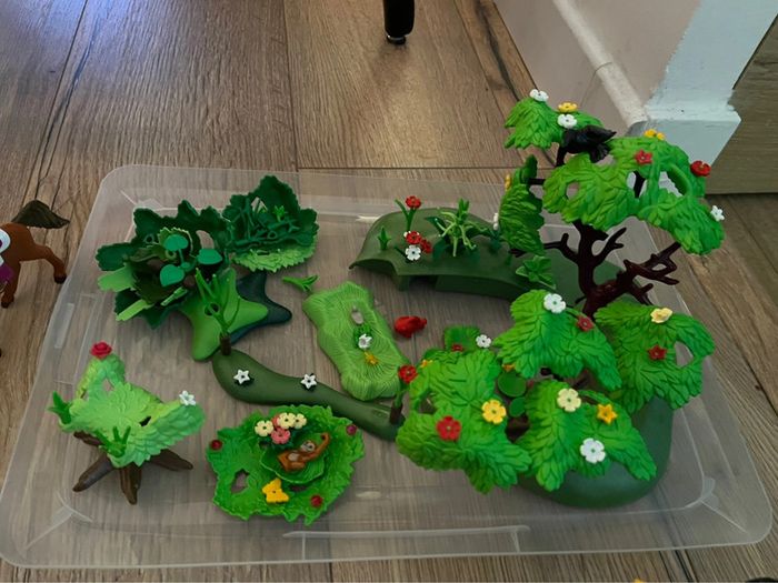 Éléments de Forêt tropicale Playmobil