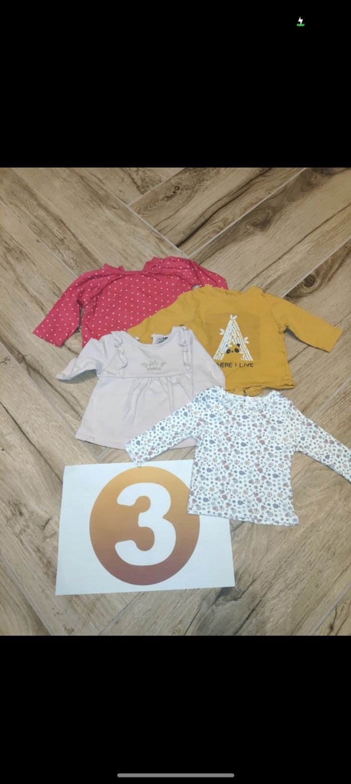 Lot 4 t-shirts manches longues chérie pailleté fleurs panda