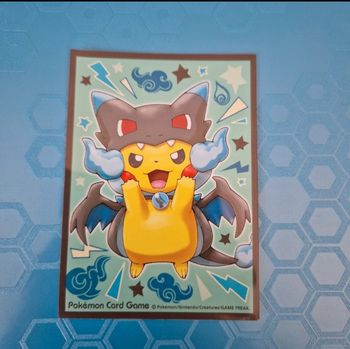 1 sleeve pokemon